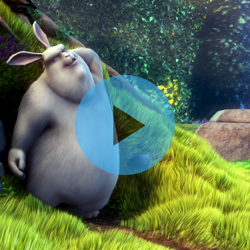 Video to Wallpaper Setter Download on Windows