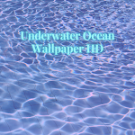 Cover Image of Herunterladen Underwater Ocean Wallpapers HD 1.0 APK