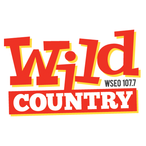WSEOFM logo