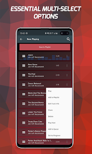 Pi Music Player - Offline MP3 Screenshot