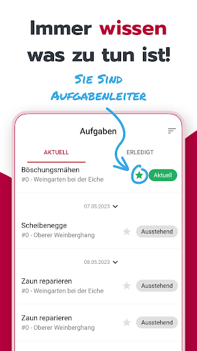 Vinitor Screen 2