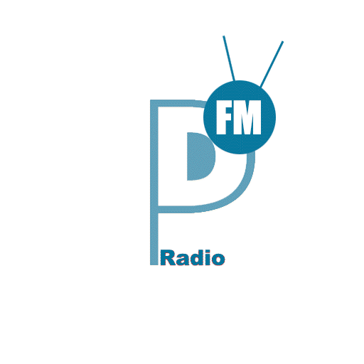 Panora Radio Station  Music Downloader Apk 2022 4