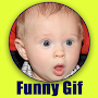 Funny Video GIF - Fun Memes & Funny Gifs pictures