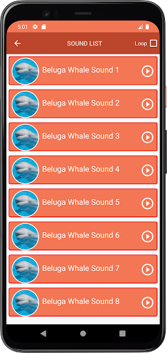 Beluga Whale Sounds Screen 3
