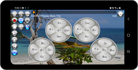 Musical Steel Drums Pro poster 16