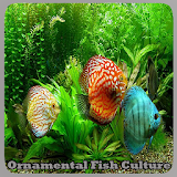 Ornamental Fish Culture icon
