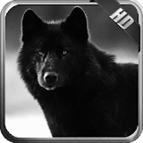 Black Wolf Pack 3 Wallpaper icon