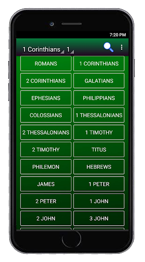 Bible AMP Screenshot