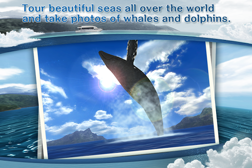 Android application REAL WHALES Find the cetacean. screenshort