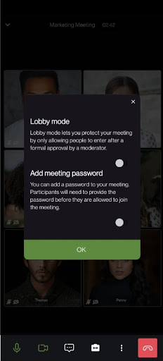 Leaf Meet Screen 2