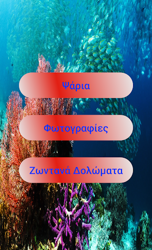 Android application Τα ψάρια της Κύπρου screenshort
