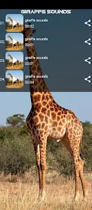 giraffe sounds