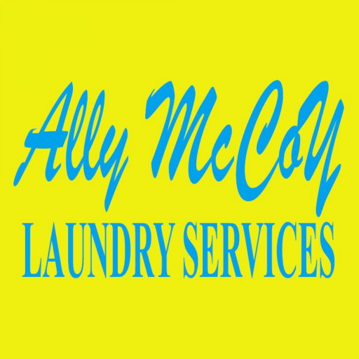 Ally Mccoy Laundry Services  Icon