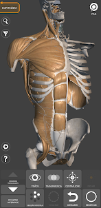 Anatomia 3D para artistas