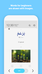 WordBit Arabic (for English)