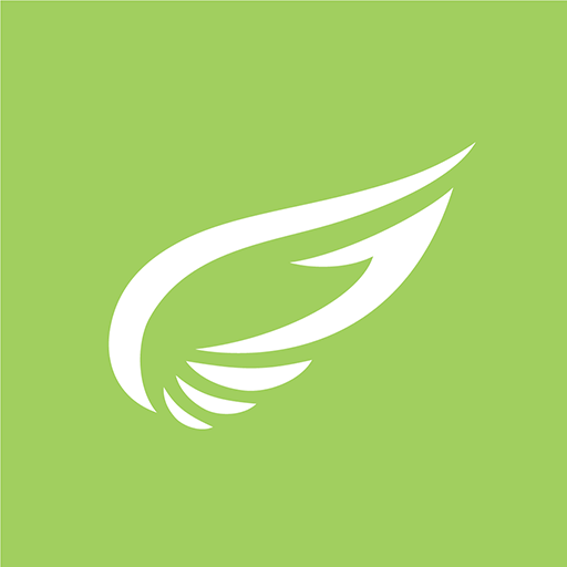 Vidadata logo