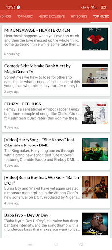 Naija Music App Screen 2
