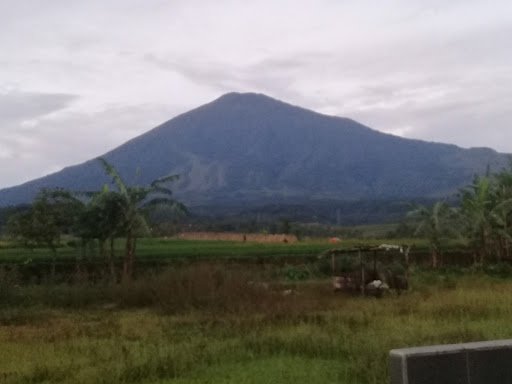 Android application Paguyuban GCK Kuningan screenshort