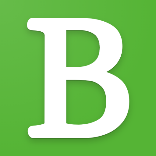 Bolle logo