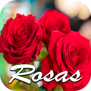 Flores y Rosas Rojas