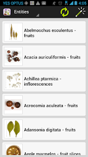 Dried Botanicals Key Screenshot