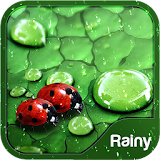 Theme for Rainy Weather icon