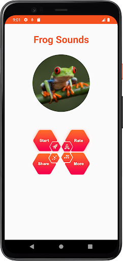 Frog Sound Screen 2