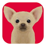 かわいい子犬ソリティア（チワワ）無料ペット育成トランプゲーム icon