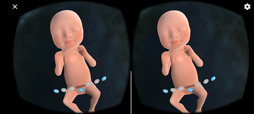 VR Fetus Home Player Screen 3