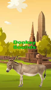 Donkey Simulator Sound Game