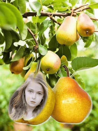 Fruit Photo Frames Screen 2