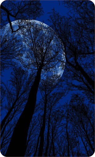 Beautiful Night Sky Wallpaper