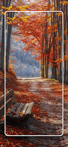 Screenshot of Autumn Wallpapers Nature 4K HD
