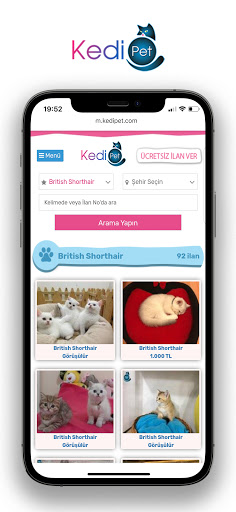 KEDiPET.COM Yavru Kedi Sahiple Screen 2