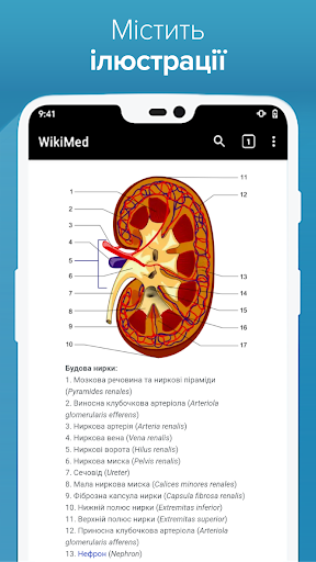 ВікіМед Screen 2