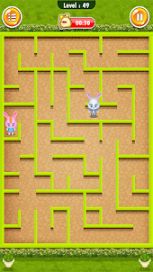 Bunny Maze Runner