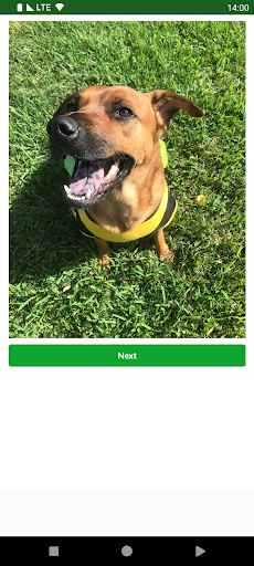 Dogs Images Screen 2