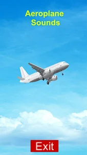 Aeroplane Sound Effects 3D Sim