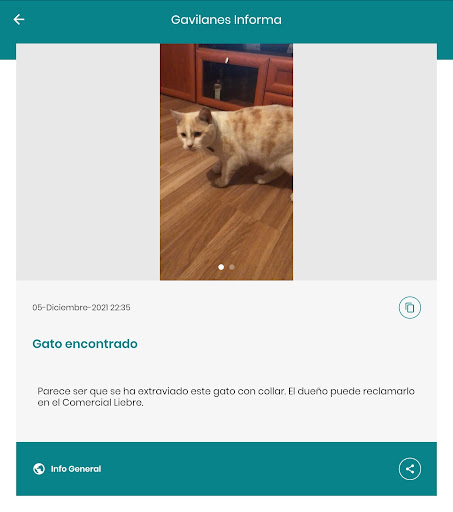 Gavilanes Informa Screen 3