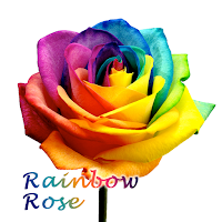 Rainbow Rose Wallpaper