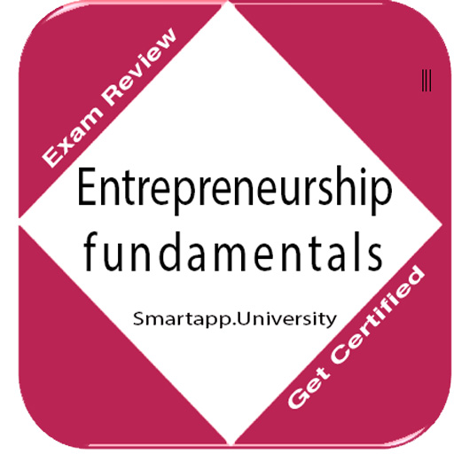 Entrepreneurship Fundamentals: 1.0 Icon