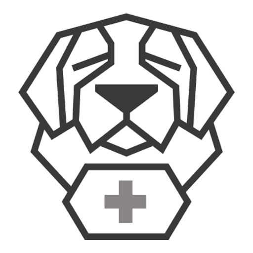 Connexion - SBA logo