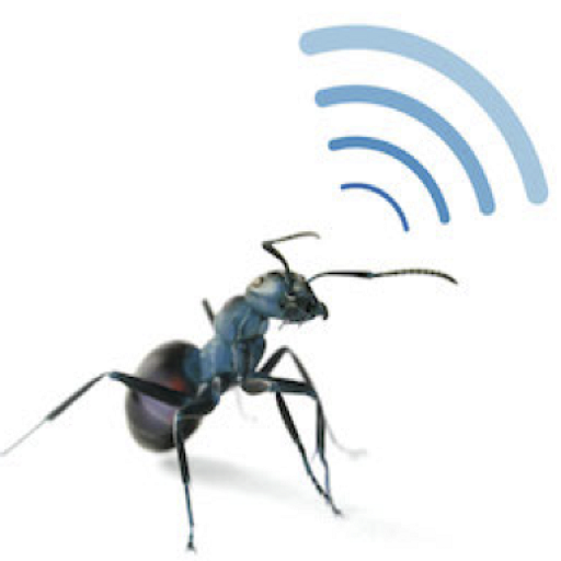 AntTail logo