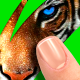 Scratch: Guess animal icon