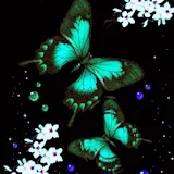 3D Butterfly 30 icon