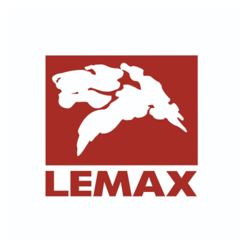 LEMAX Smart boiler logo