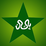 Pakistan Cricket News Lite icon