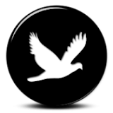 [substratum] Magpie Reborn icon