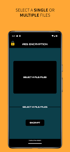 AES Encryption (256-Bit) Screen 2