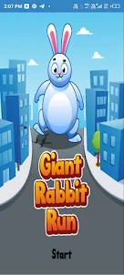 Giant Rabbit Runner